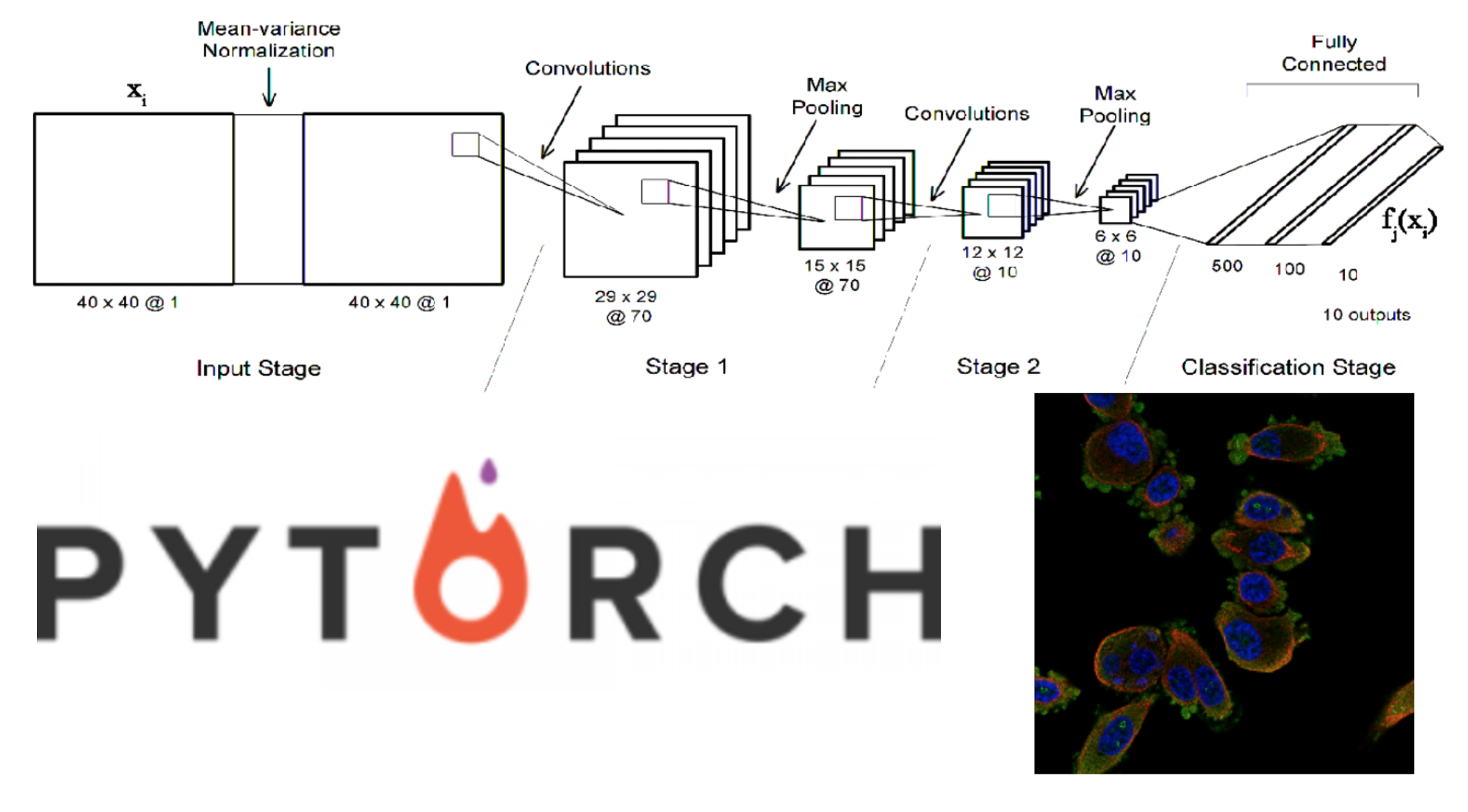 Imbalanced Class Deep Learning - Building A Loss Function